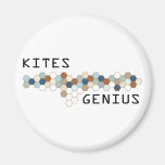 Kites Genius Refrigerator Magnets