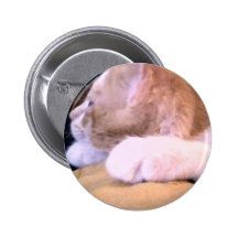 Kits Pinback Buttons