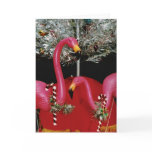 Kitschy Khristmas cards