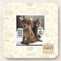 Kitteh carols beverage coaster