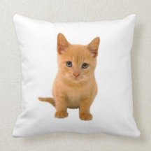 Kitten - American MoJo Pillow