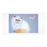 Kitten and feather picture card