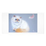 Kitten and feather picture card