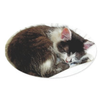 Kitten asleep on White Comforter Sticker