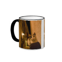 Kitten at dusk, Morocco Coffee Mug