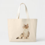 Kitten Bag