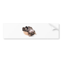 kitten autocollants pour voiture