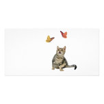 Kitten & Butterflies Personalized Photo Card
