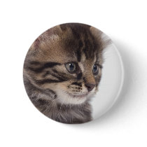 kitten badge