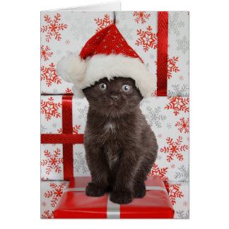 Funny Cat Christmas Cards &amp; Invitations | Zazzle.co.uk