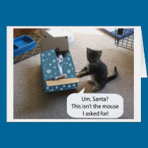 Kitten Christmas Surprise (blank inside) card cards