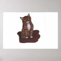 Kitten, cute AND Scary Print