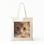 Kitten Cuteness Bag