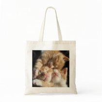 Kitten Cuteness Bag