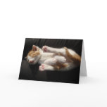 Kitten Cuteness Card