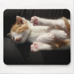 Kitten Cuteness Mousepad