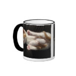 Kitten Cuteness Mug