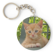 Kitten Dax Keychain