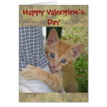 Kitten Dax Valentine Card
