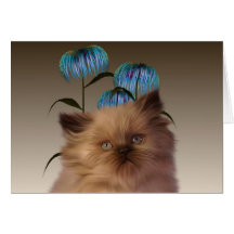 Kitten Flowers Note Card