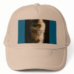 Kitten Trucker Hat