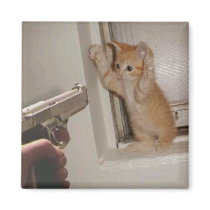 Kitten held at gunpoint!