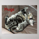 Kitten hugs poster posters