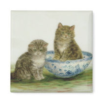 Kitten in a Blue China Bowl Refrigerator Magnet