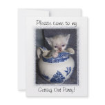 Kitten in a Pitcher Invitation