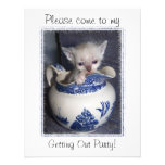 Kitten in a Pitcher Invitation