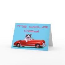 Kitten in a Red Convertible