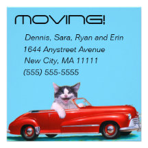 Kitten in a Red Convertible Custom Announcement