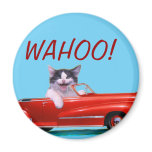 Kitten in a Red Convertible