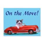 Kitten in a Red Convertible postcards