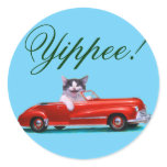 Kitten in a Red Convertible stickers