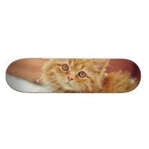 Kitten In Snow Skate Deck