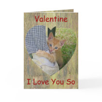 Kitten Love Valentine Card
