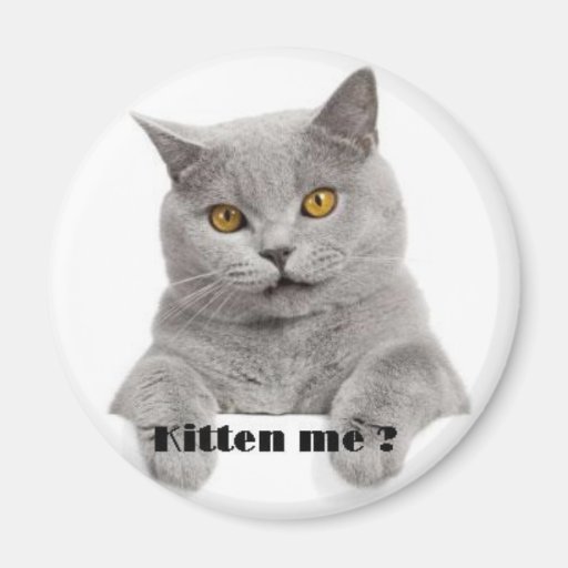 kitten me ? refrigerator magnet