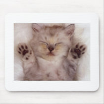 Kitten Mouspad Mousepad