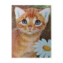 Kitten n flowers II Postcard