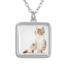 Kitten Necklaces