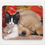 Kitten Pillow mousepads