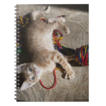 Kitten Playing With Yarn Note Books