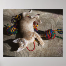 Kitten Playing With Yarn Posters