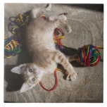Kitten Playing With Yarn Tile