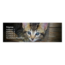 Kitten Profile Card Business Cards