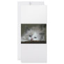 Kitten Full Color Rack Card