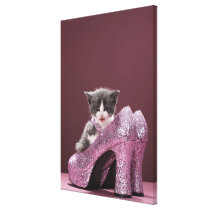 Kitten sitting in glitter shoes stretched canvas prints