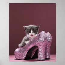 Kitten sitting in glitter shoes poster