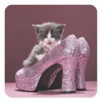 Kitten sitting in glitter shoes sticker